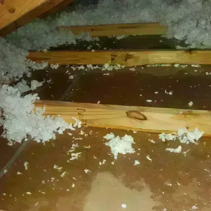 Attic Water Damage in Chester, CA