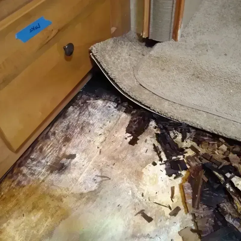 Best Wood Floor Water Damage Service in Chester, CA